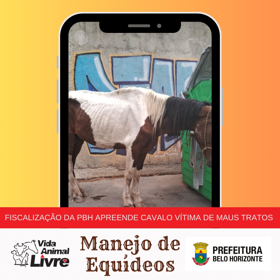 Manejo de Equídeos